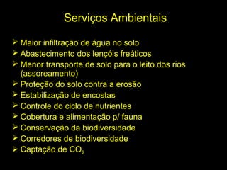 Serviços Ambientais

 Maior infiltração de água no solo
 Abastecimento dos lençóis freáticos
 Menor transporte de solo para o leito dos rios
  (assoreamento)
 Proteção do solo contra a erosão
 Estabilização de encostas
 Controle do ciclo de nutrientes
 Cobertura e alimentação p/ fauna
 Conservação da biodiversidade
 Corredores de biodiversidade
 Captação de CO2
 