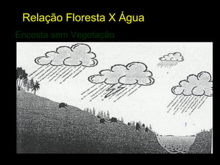 Relação Floresta X Água
Encosta sem Vegetação
 