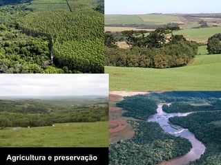 Agricultura e preservação
 