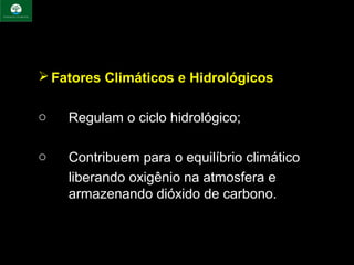  Fatores Climáticos e Hidrológicos

o   Regulam o ciclo hidrológico;
 
o   Contribuem para o equilíbrio climático
    liberando oxigênio na atmosfera e 
    armazenando dióxido de carbono.
 