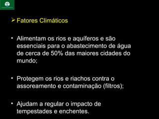 Fatores Climáticos
 
• Alimentam os rios e aquíferos e são 
  essenciais para o abastecimento de água 
  de cerca de 50% das maiores cidades do 
  mundo;
 
• Protegem os rios e riachos contra o 
  assoreamento e contaminação (filtros);

• Ajudam a regular o impacto de 
  tempestades e enchentes.
 
