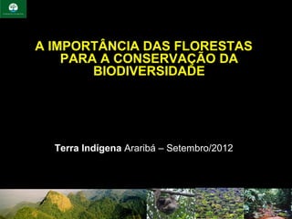 A IMPORTÂNCIA DAS FLORESTAS
    PARA A CONSERVAÇÃO DA
        BIODIVERSIDADE




  Terra Indígena Araribá – Setembro/2012
 