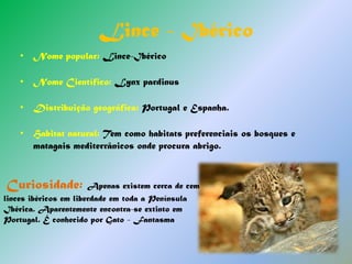 Habitat natural: Prefere viver em cursos de águas e em montanhas Curiosidade: Esta espécie está em perigo devido ser apanhada para servir como animal de estimação e para alimentação, razões pelas quais poderá estar ameaçada. O uso de pesticidas, a construção de barragens e a desflorestação, são também factores de ameaça.