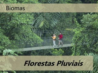 Biomas
Florestas Pluviais
 
