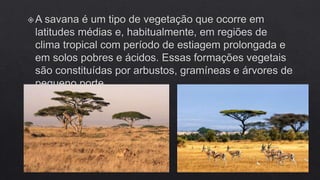 FLORESTAS SUBTROPICAIS E SAVANAS