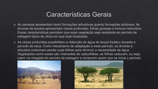 FLORESTAS SUBTROPICAIS E SAVANAS