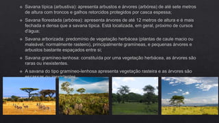 FLORESTAS SUBTROPICAIS E SAVANAS