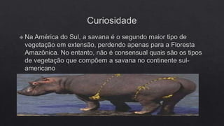 FLORESTAS SUBTROPICAIS E SAVANAS