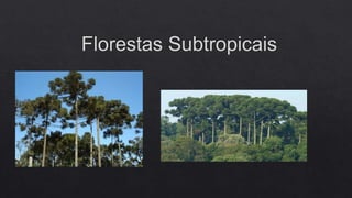 FLORESTAS SUBTROPICAIS E SAVANAS