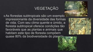 FLORESTAS SUBTROPICAIS E SAVANAS