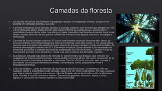 FLORESTAS SUBTROPICAIS E SAVANAS