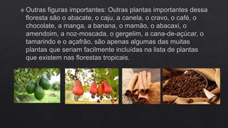 FLORESTAS SUBTROPICAIS E SAVANAS