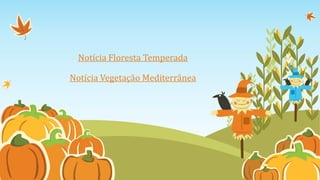 Notícia Floresta Temperada
Notícia Vegetação Mediterrânea
 