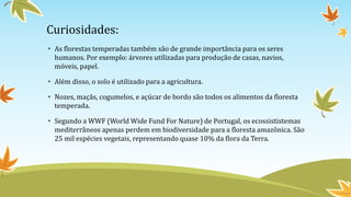 Curiosidades:
• As florestas temperadas também são de grande importância para os seres
humanos. Por exemplo: árvores utilizadas para produção de casas, navios,
móveis, papel.
• Além disso, o solo é utilizado para a agricultura.
• Nozes, maçãs, cogumelos, e açúcar de bordo são todos os alimentos da floresta
temperada.
• Segundo a WWF (World Wide Fund For Nature) de Portugal, os ecossististemas
mediterrâneos apenas perdem em biodiversidade para a floresta amazônica. São
25 mil espécies vegetais, representando quase 10% da flora da Terra.
 