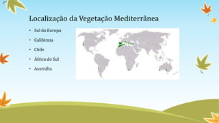 Localização da Vegetação Mediterrânea
• Sul da Europa
• Califórnia
• Chile
• África do Sul
• Austrália
 