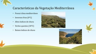Características da Vegetação Mediterrânea
• Possui clima mediterrâneo
• Invernos frios (0°C)
• Altos índices de chuva
• Verões quentes (30°C)
• Baixos índices de chuva
 