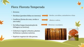 Flora: Floresta Temperada
• Árvores:
• Decíduas (perdem folhas no inverno)
• Coníferas (forma de cone, verdes o
ano todo)
• De folhas largas (manutenção da
folhagem no inverno)
• Cobertura vegetal: arbustos, plantas
herbáceas e plantas rasteiras.
• Espécies vegetais de vida perene.
Bordos, carvalhos, castanheiros e faias
Abetos e cedros.
Oliveiras e eucaliptos.
 