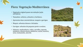 Flora: Vegetação Mediterrânea
• Vegetação original quase em extinção (ação
antrópica).
• Tamanhos: arbóreo, arbustivo e herbáceo.
• Apresenta duas características: maquis e garrigue.
• Maquis: arbustos densos e fechados.
• Garrigue: arbustos de pequeno porte e avulsos.
• Sobreiro, medronheiro, cedro, carvalho, cipreste,
azinheira, oliveira-brava, pinheiros, cactos, loureiro,
urze, rosmaninho, alecrim.
 