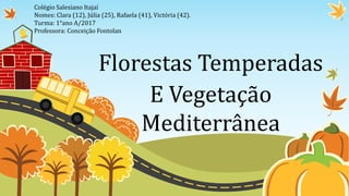 Florestas Temperadas
E Vegetação
Mediterrânea
Colégio Salesiano Itajaí
Nomes: Clara (12), Júlia (25), Rafaela (41), Victória (42).
Turma: 1°ano A/2017
Professora: Conceição Fontolan
 