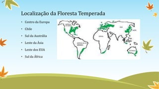 Localização da Floresta Temperada
• Centro da Europa
• Chile
• Sul da Austrália
• Leste da Ásia
• Leste dos EUA
• Sul da África
 