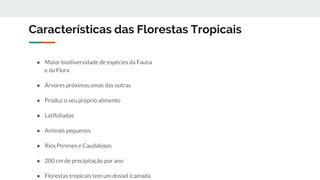 Características das Florestas Tropicais
● Maior biodiversidade de espécies da Fauna
e da Flora
● Árvores próximas umas das outras
● Produz o seu próprio alimento
● Latifoliadas
● Animais pequenos
● Rios Perenes e Caudalosos
● 200 cm de precipitação por ano
● Florestas tropicais tem um dossel (camada
 