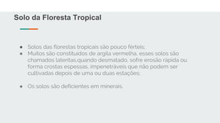 Solo da Floresta Tropical
● Solos das florestas tropicais são pouco férteis;
● Muitos são constituídos de argila vermelha, esses solos são
chamados lateritas,quando desmatado, sofre erosão rápida ou
forma crostas espessas, impenetráveis que não podem ser
cultivadas depois de uma ou duas estações;
● Os solos são deficientes em minerais.
 