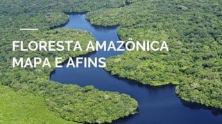 FLORESTA AMAZÔNICA
MAPA E AFINS
 