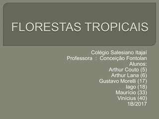Colégio Salesiano Itajaí
Professora : Conceição Fontolan
Alunos:
Arthur Couto (5)
Arthur Lana (6)
Gustavo Morelli (17)
Iago (18)
Maurício (33)
Vinícius (40)
1B/2017
 