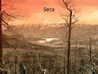 Seca
 