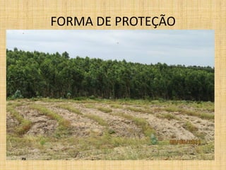 FORMA DE PROTEÇÃO
 
