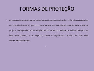 FORMAS DE PROTEÇÃO
•   As pragas que representam a maior importância econômica são: as formigas cortadeiras

    em primeira instância, que ocorrem e devem ser controladas durante toda a fase do

    projeto; em segunda, no caso de plantios de eucalipto, pode-se considerar os cupins, na

    fase mais juvenil, e as lagartas, como a Thyrinteina arnobia na fase mais

    adulta, principalmente.

                                           •
 