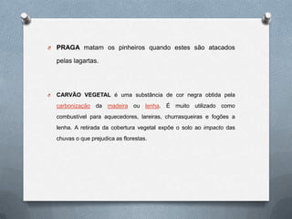 O   PRAGA matam os pinheiros quando estes são atacados

    pelas lagartas.




O   CARVÃO VEGETAL é uma substância de cor negra obtida pela
    carbonização da madeira ou lenha. É muito utilizado como
    combustível para aquecedores, lareiras, churrasqueiras e fogões a
    lenha. A retirada da cobertura vegetal expõe o solo ao impacto das
    chuvas o que prejudica as florestas.
 