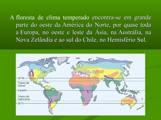 A floresta  de  clima  temperado  encontra-se  em  grande 
  parte  do  oeste  da América  do  Norte,  por  quase  toda 
  a Europa,  no  oeste  e  leste  da  Ásia,  na Austrália,  na 
  Nova Zelândia e ao sul do Chile, no Hemisfério Sul. 
 