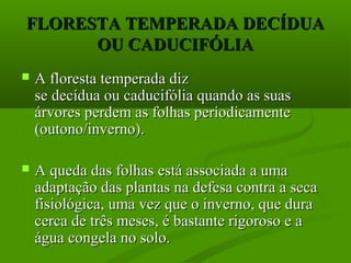 FLORESTA TEMPERADA DECÍDUA
      OU CADUCIFÓLIA
   A floresta temperada diz
    se decídua ou caducifólia quando as suas
    árvores perdem as folhas periodicamente
    (outono/inverno).

   A queda das folhas está associada a uma
    adaptação das plantas na defesa contra a seca
    fisiológica, uma vez que o inverno, que dura
    cerca de três meses, é bastante rigoroso e a
    água congela no solo.
 