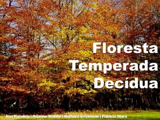 Floresta
Temperada
Decídua
Ana Karolina | Arianne Stobbe | Bárbara Emanoele | Patricia Mara
 