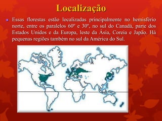 Localização
 Essas florestas estão localizadas principalmente no hemisfério
norte, entre os paralelos 60º e 30º, no sul do Canadá, parte dos
Estados Unidos e da Europa, leste da Ásia, Coreia e Japão. Há
pequenas regiões também no sul da América do Sul.
 