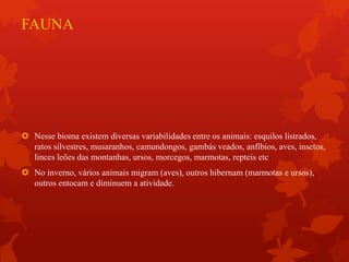 FAUNA
 Nesse bioma existem diversas variabilidades entre os animais: esquilos listrados,
ratos silvestres, musaranhos, camundongos, gambás veados, anfíbios, aves, insetos,
linces leões das montanhas, ursos, morcegos, marmotas, repteis etc
 No inverno, vários animais migram (aves), outros hibernam (marmotas e ursos),
outros entocam e diminuem a atividade.
 