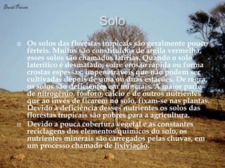    Os solos das florestas tropicais são geralmente pouco
    férteis. Muitos são constituídos de argila vermelha,
    esses solos são chamados latirias. Quando o solo
    laterítico é desmatado, sofre erosão rápida ou forma
    crostas espessas, impenetráveis que não podem ser
    cultivadas depois de uma ou duas estações. De regra,
    os solos são deficientes em minerais. A maior parte
    de nitrogênio, fósforo, cálcio e de outros nutrientes
    que ao invés de ficarem no solo, fixam-se nas plantas.
    Devido à deficiência desses nutrientes os solos das
    florestas tropicais são pobres para a agricultura.
   Devido a pouca cobertura vegetal e as constantes
    reciclagens dos elementos químicos do solo, os
    nutrientes minerais são carregados pelas chuvas, em
    um processo chamado de lixiviação.
 