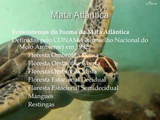Ecossistemas do bioma da Mata Atlântica
Definidas pelo CONAMA (Conselho Nacional do
  Meio Ambiente) em 1992:
·    Floresta Ombrófila Densa
·    Floresta Ombrófila Aberta
·    Floresta Ombrófila Mista
·    Floresta Estacional Decidual
·    Floresta Estacional Semidecidual
·    Mangues
·    Restingas
 