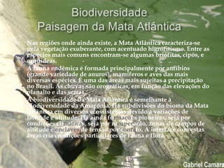    Nas regiões onde ainda existe, a Mata Atlântica caracteriza-se
    pela vegetação exuberante, com acentuado higrofitismo. Entre as
    espécies mais comuns encontram-se algumas briófitas, cipós, e
    orquídeas.
   A fauna endêmica é formada principalmente por anfíbios
    (grande variedade de anuros), mamíferos e aves das mais
    diversas espécies. É uma das áreas mais sujeitas a precipitação
    no Brasil. As chuvas são orográficas, em função das elevações do
    planalto e das serras.
   A biodiversidade da Mata Atlântica é semelhante à
    biodiversidade da Amazônia. Há subdivisões do bioma da Mata
    Atlântica em diversos ecossistemas devido a variações de
    latitude e altitude. Há ainda formações pioneiras, seja por
    condições climáticas, seja por recuperação, zonas de campos de
    altitude e enclaves de tensão por contato. A interface com estas
    áreas cria condições particulares de fauna e flora.
 