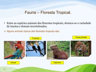 Capivara - ecologia, características, fotos  Capivara, Fotos de capivara,  Animais da floresta tropical