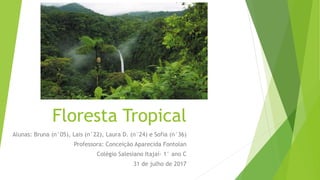 Floresta Tropical
Alunas: Bruna (n°05), Lais (n°22), Laura D. (n°24) e Sofia (n°36)
Professora: Conceição Aparecida Fontolan
Colégio Salesiano Itajaí- 1° ano C
31 de julho de 2017
 