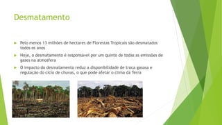 Desmatamento
 Pelo menos 13 milhões de hectares de Florestas Tropicais são desmatados
todos os anos
 Hoje, o desmatamento é responsável por um quinto de todas as emissões de
gases na atmosfera
 O impacto do desmatamento reduz a disponibilidade de troca gasosa e
regulação do ciclo de chuvas, o que pode afetar o clima da Terra
 