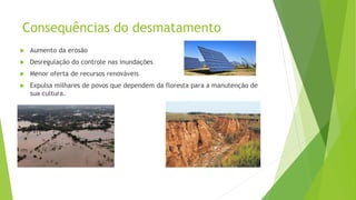 Consequências do desmatamento
 Aumento da erosão
 Desregulação do controle nas inundações
 Menor oferta de recursos renováveis
 Expulsa milhares de povos que dependem da floresta para a manutenção de
sua cultura.
 