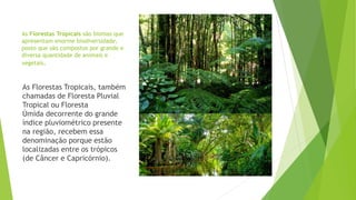 As Florestas Tropicais são biomas que
apresentam enorme biodiversidade,
posto que são compostos por grande e
diversa quantidade de animais e
vegetais.
As Florestas Tropicais, também
chamadas de Floresta Pluvial
Tropical ou Floresta
Úmida decorrente do grande
índice pluviométrico presente
na região, recebem essa
denominação porque estão
localizadas entre os trópicos
(de Câncer e Capricórnio).
 
