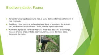 Biodiversidade: Fauna
 Por conter uma vegetação muito rica, a fauna da floresta tropical também é
rica e variada.
 Devido ao clima quente e a abundância de água, o organismo dos animais
dali, está sempre em atividade – assim, eles se reproduzem mais.
 Mamíferos típicos de florestas tropicais: mico-leão-dourado, orangotango,
macaco-aranha, onça-pintada, capivara, lontra, porco do mato, paca,
tamanduá-bandeira.
 