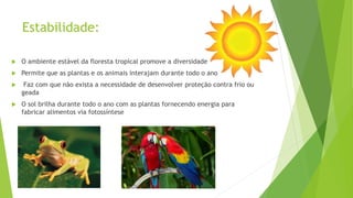 Estabilidade:
 O ambiente estável da floresta tropical promove a diversidade
 Permite que as plantas e os animais interajam durante todo o ano
 Faz com que não exista a necessidade de desenvolver proteção contra frio ou
geada
 O sol brilha durante todo o ano com as plantas fornecendo energia para
fabricar alimentos via fotossíntese
 