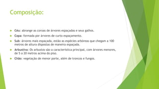 Composição:
 Céu: abrange as coroas de árvores espaçadas e seus galhos.
 Copa: formada por árvores de curto espaçamento.
 Sub: árvores mais espaçada, estão as espécies arbóreas que chegam a 100
metros de altura dispostas de maneira espaçada.
 Arbustiva: Os arbustos são a característica principal, com árvores menores,
de 5 a 20 metros acima do piso.
 Chão: vegetação de menor porte, além de troncos e fungos.
 