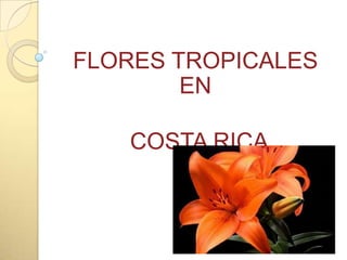 FLORES TROPICALES
        EN

   COSTA RICA
 