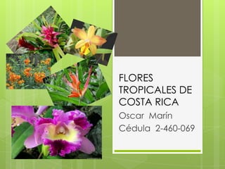 FLORES
TROPICALES DE
COSTA RICA
Oscar Marín
Cédula 2-460-069
 
